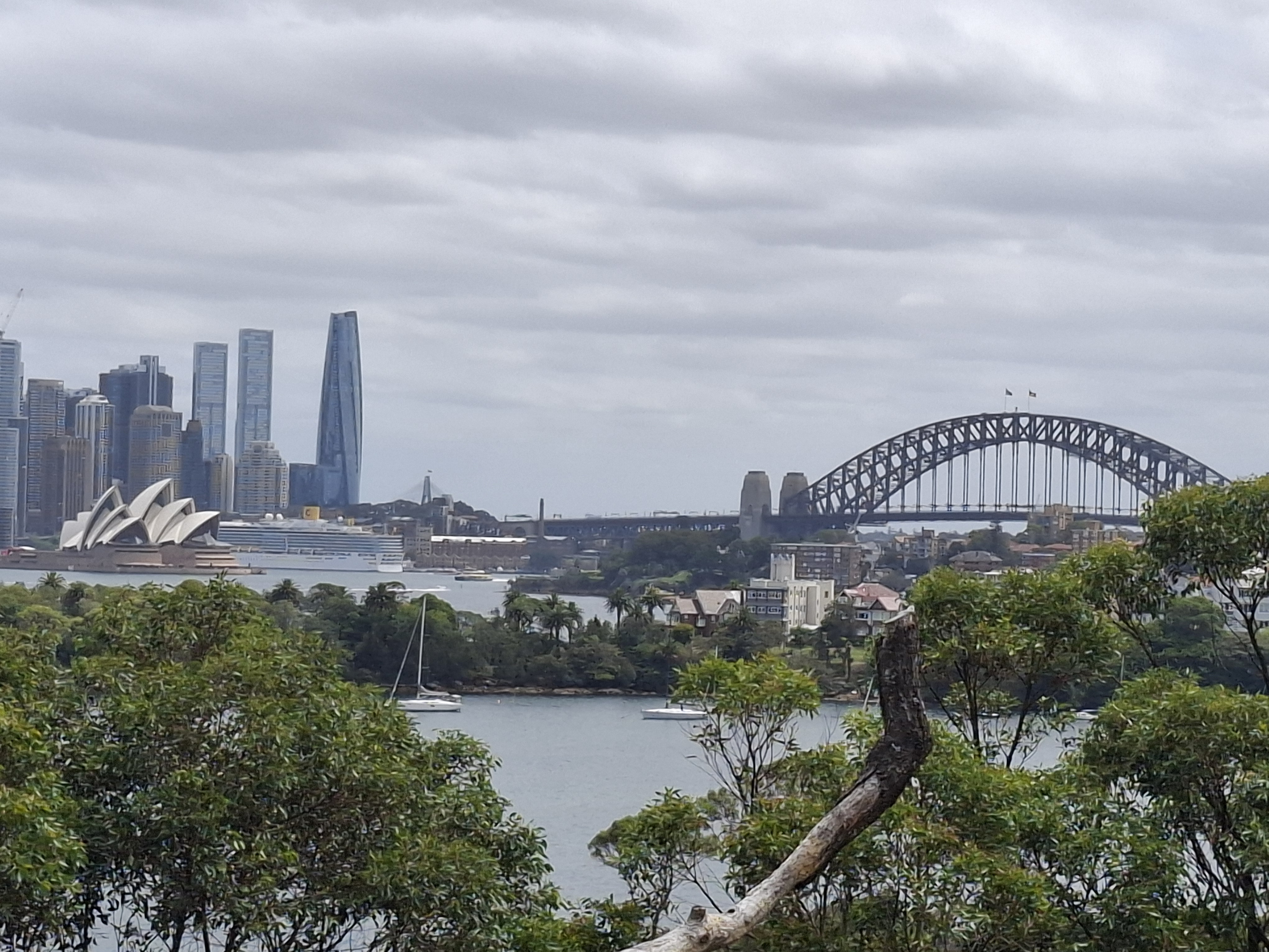 Sydney from Taronga